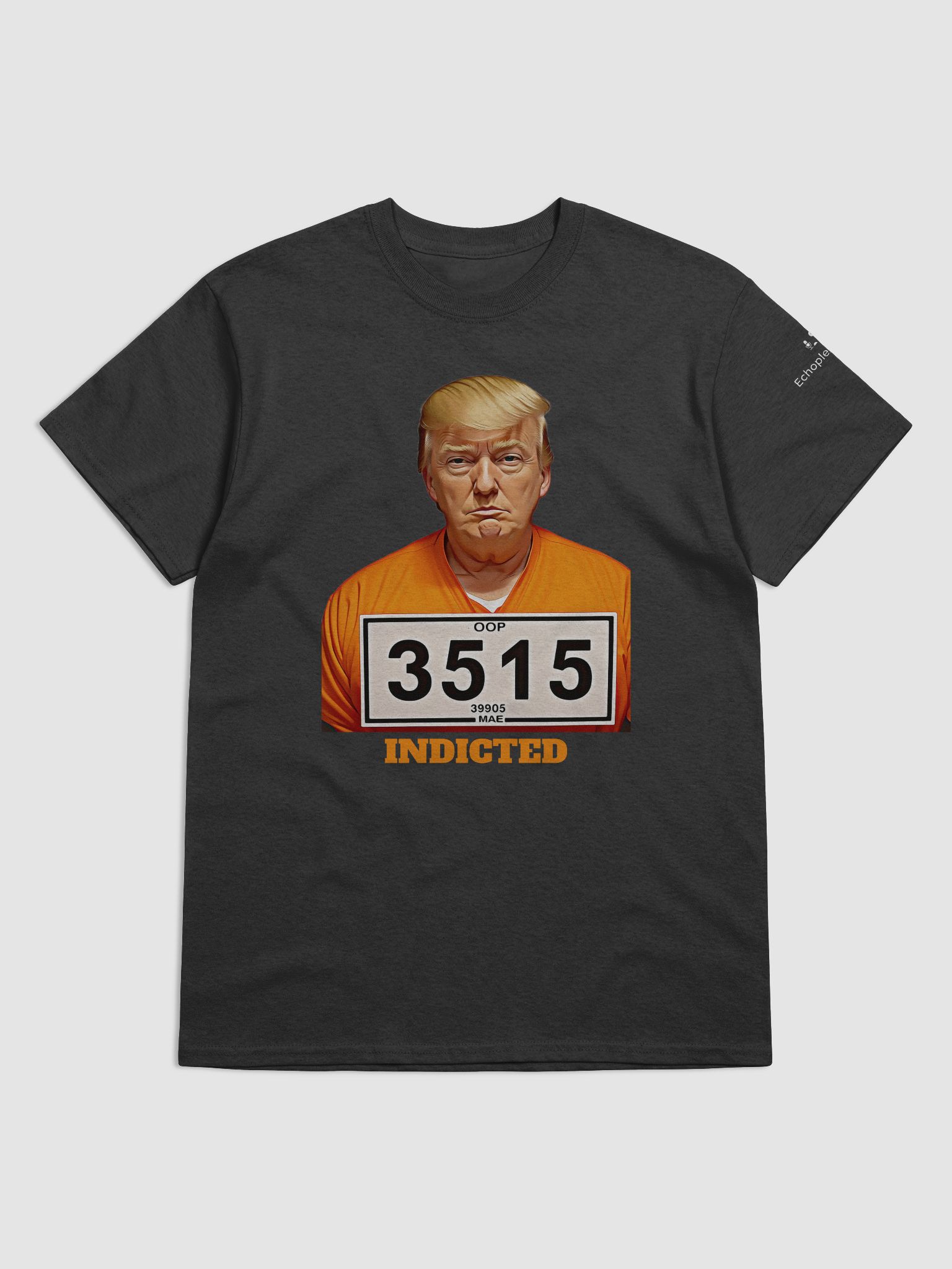 Donald Trump - Indicted | Echoplex Media Swag Shop