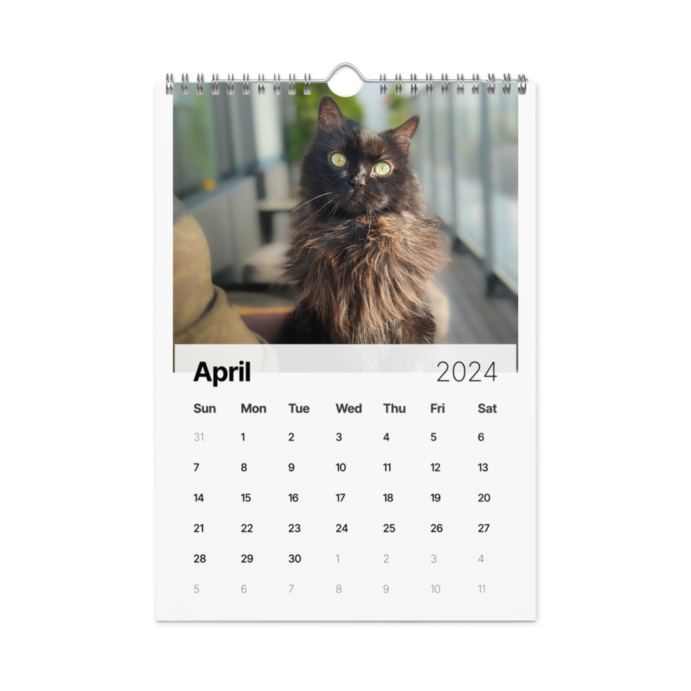 The 2024 ShoKo Cat Calendar ShoKo