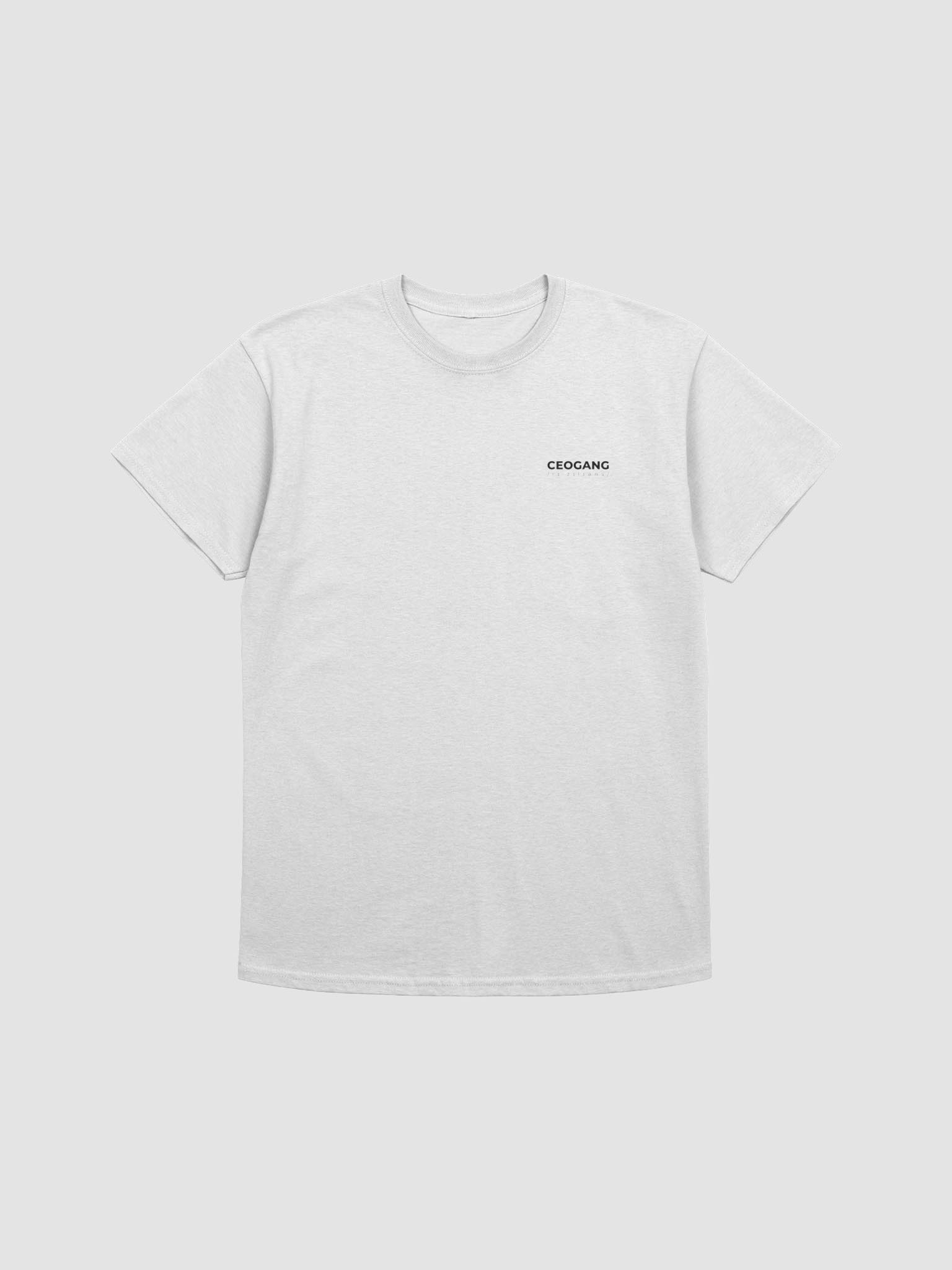 resilience T - light colors | studytme merch