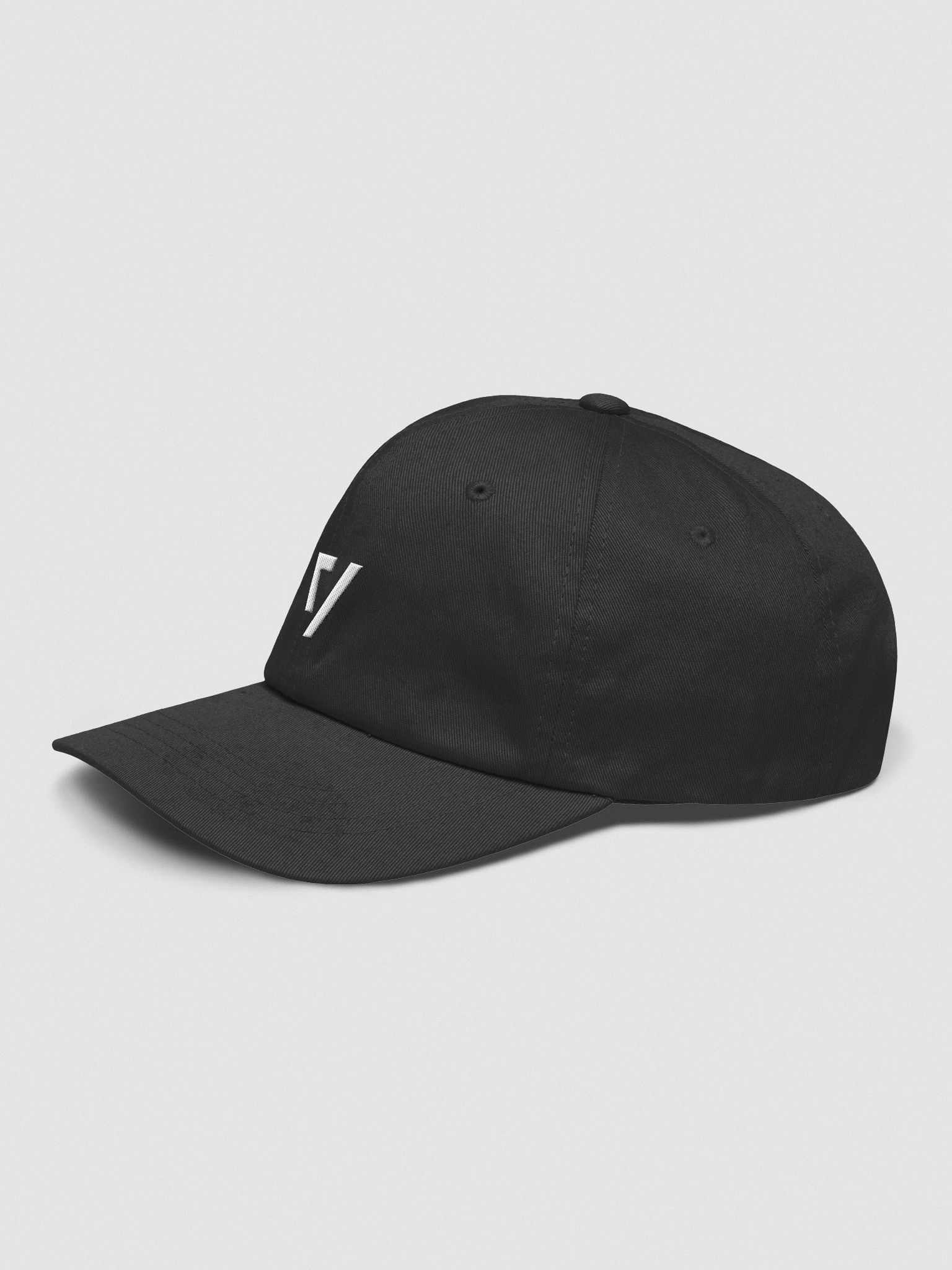Embroidered Dad Hat | The Verge