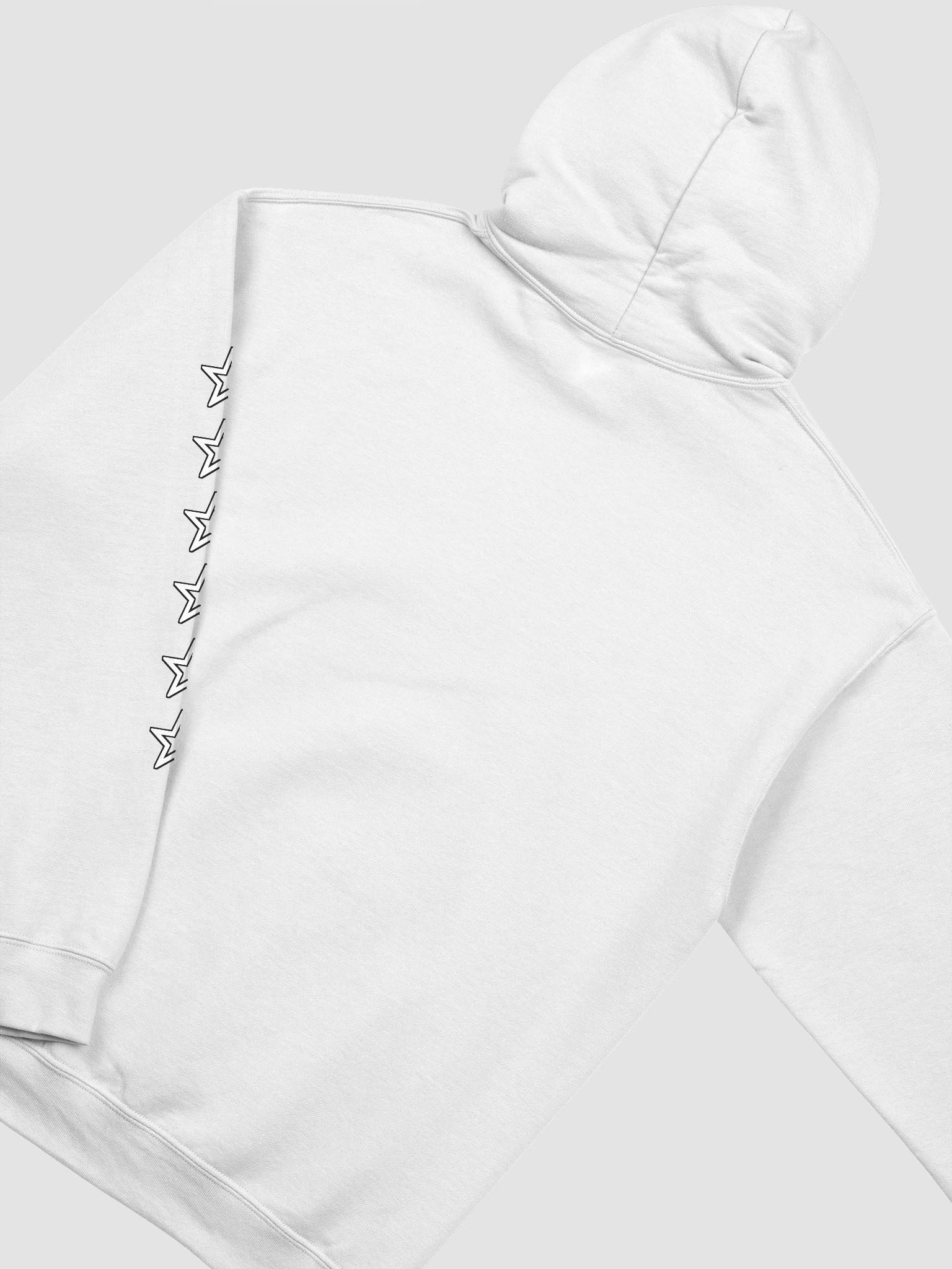 2022 Icon Hoodie