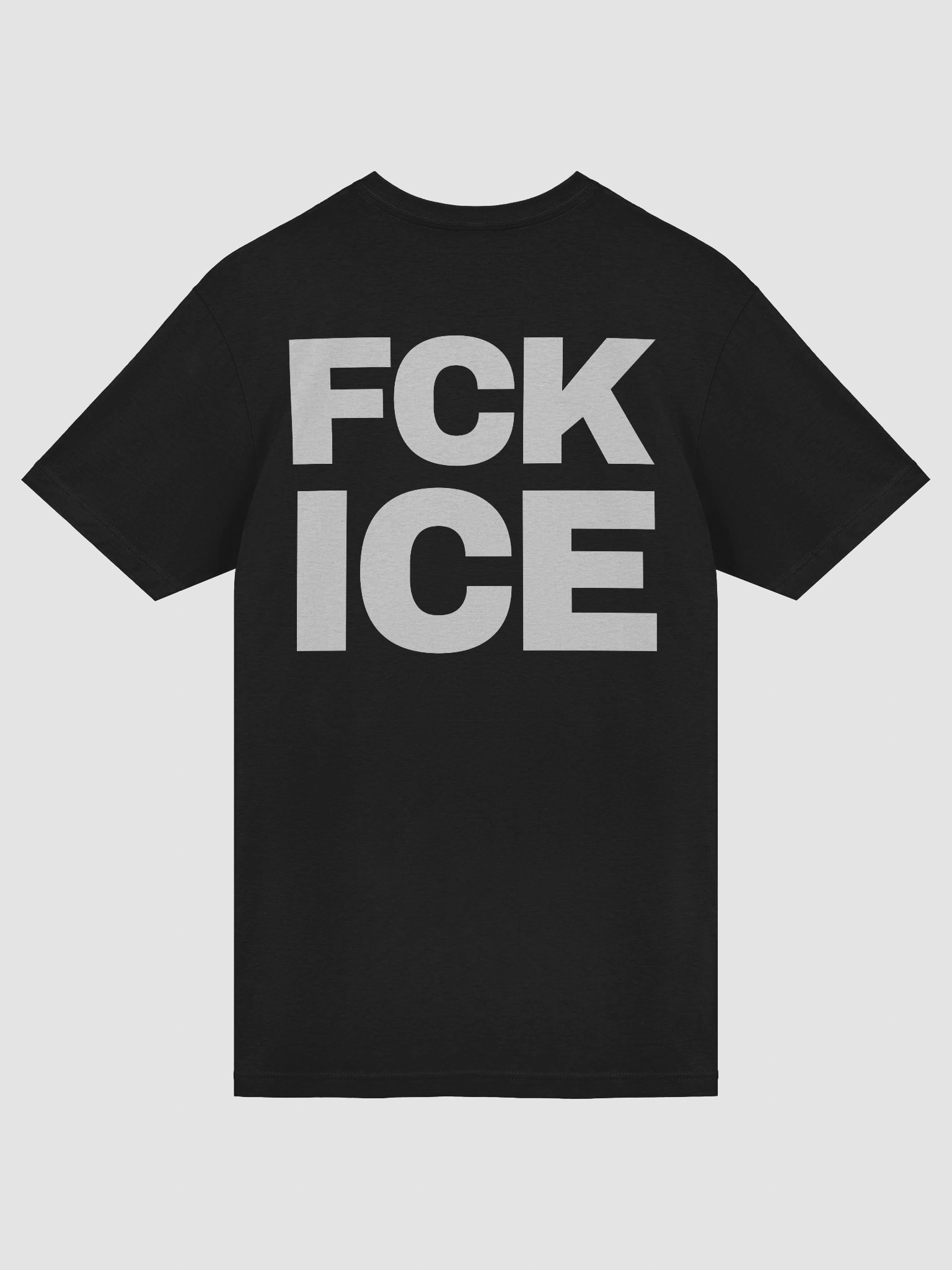 FCK ICE view 3