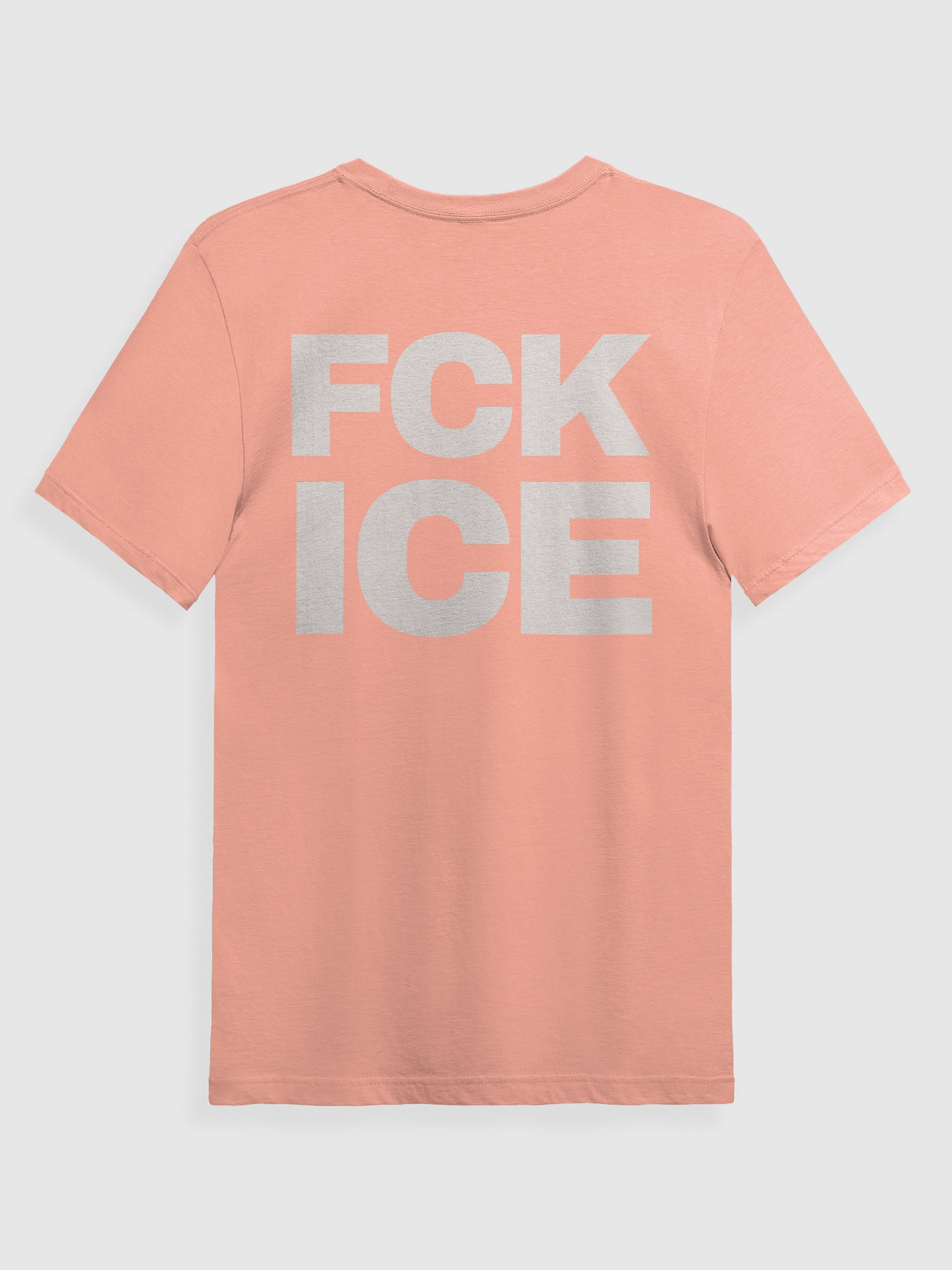 FCK ICE view 8