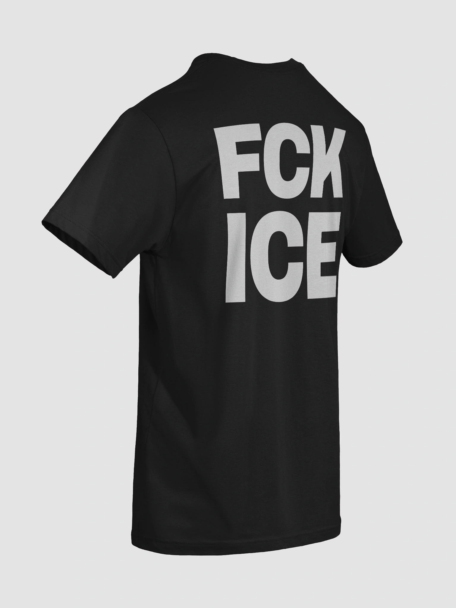 FCK ICE view 6