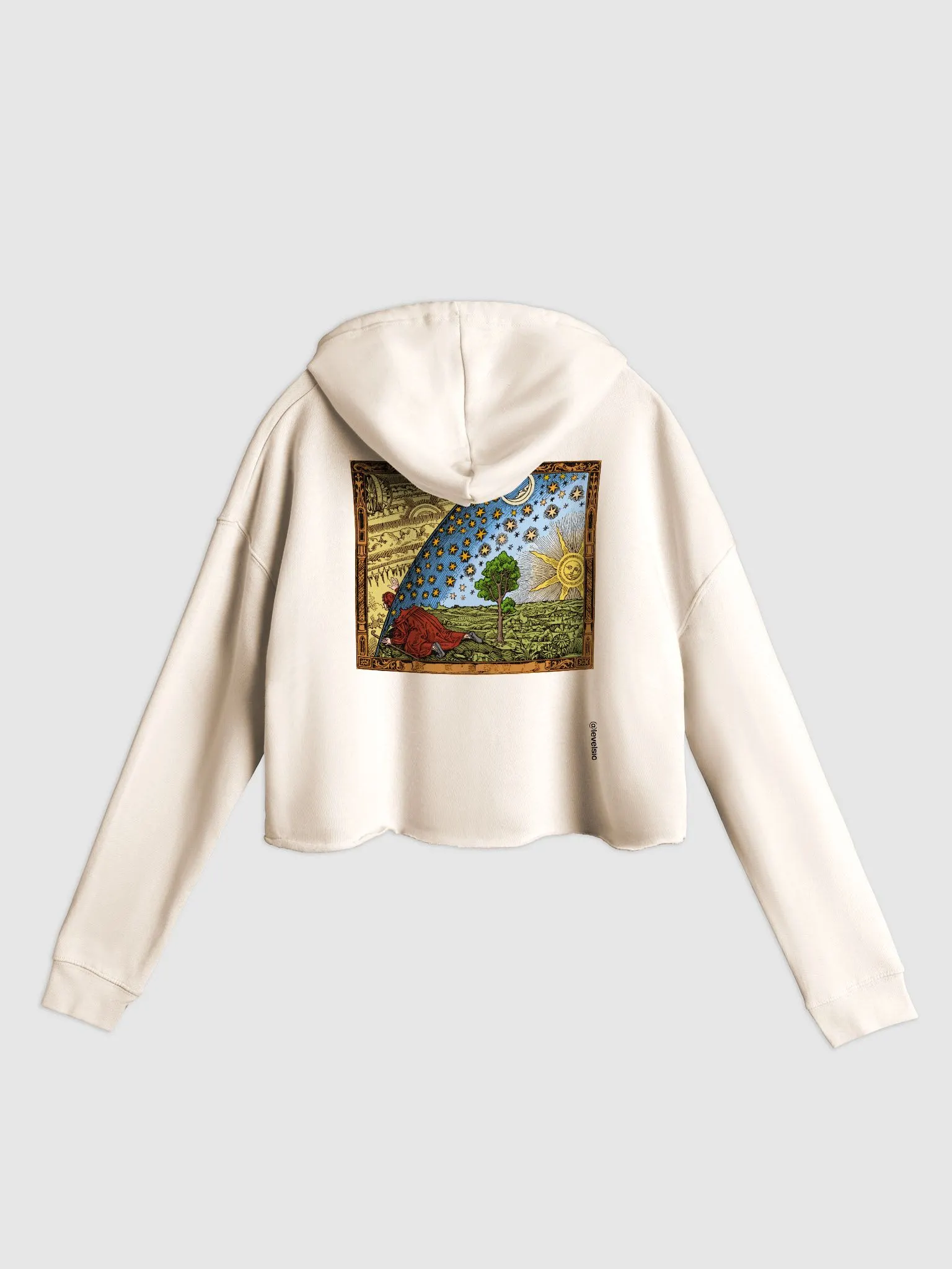 トップス the Virgins cropped sweat BOLT EMBROIDERY CLASSIC CROPPED CREW SWEATSHIRT - HEATHER