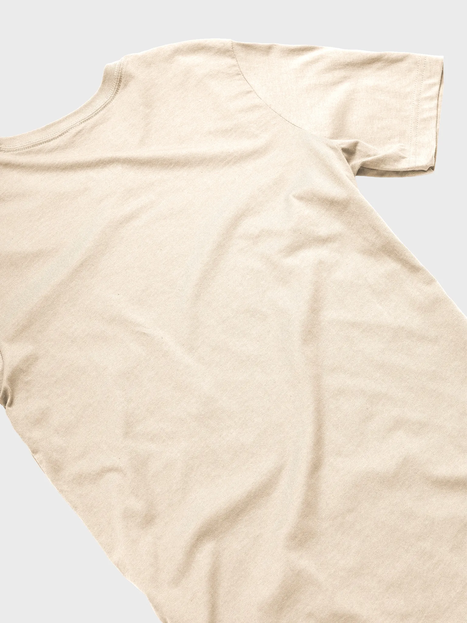 Tシャツ・カットソー PARAGRAPH CLASSIC LOGO T-SHIRT NE6272 Classic-Logo T-Shirt | The New York Magazine Shop