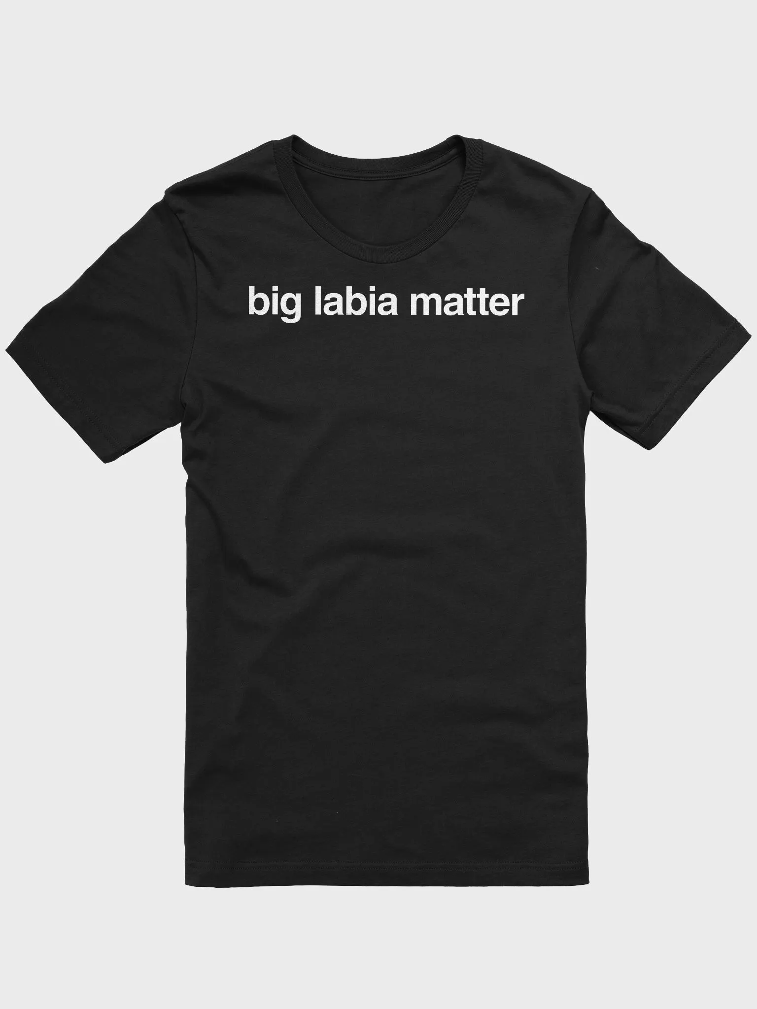 BIG LABIA MATTER T-SHIRT | whatever