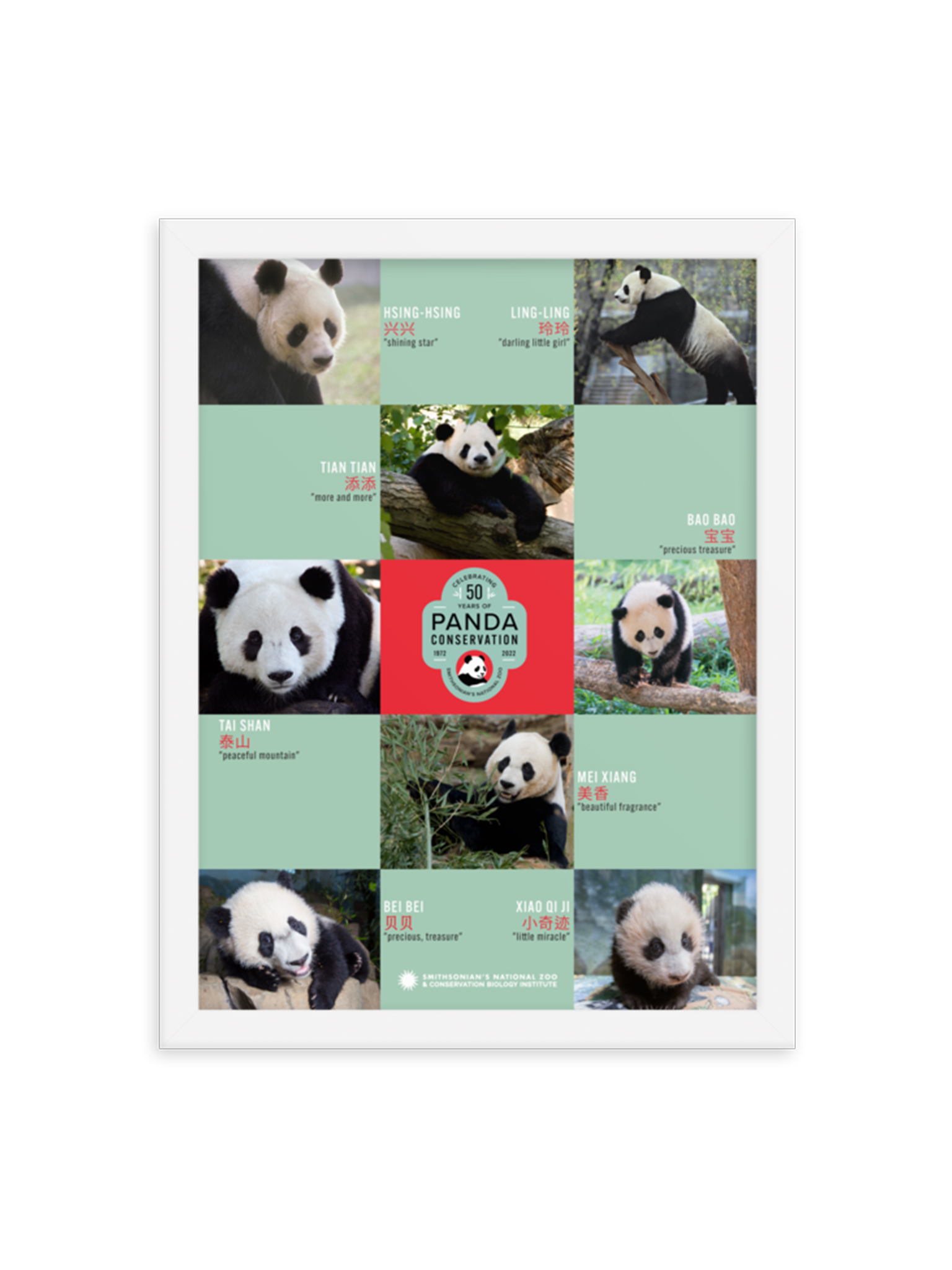 Giant Panda Family Framed Poster | National Zoo Panda