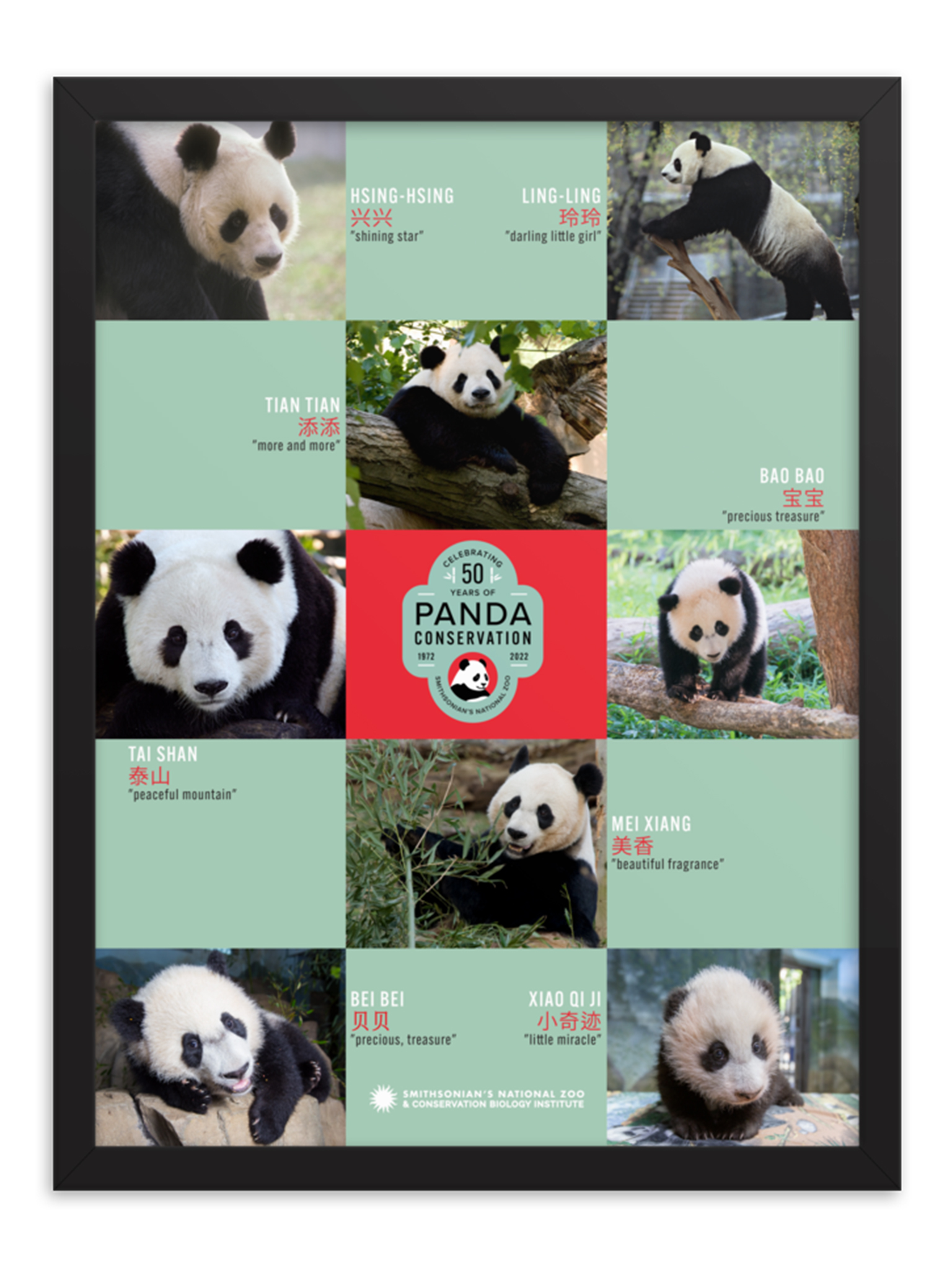 Giant Panda Family Framed Poster | National Zoo Panda