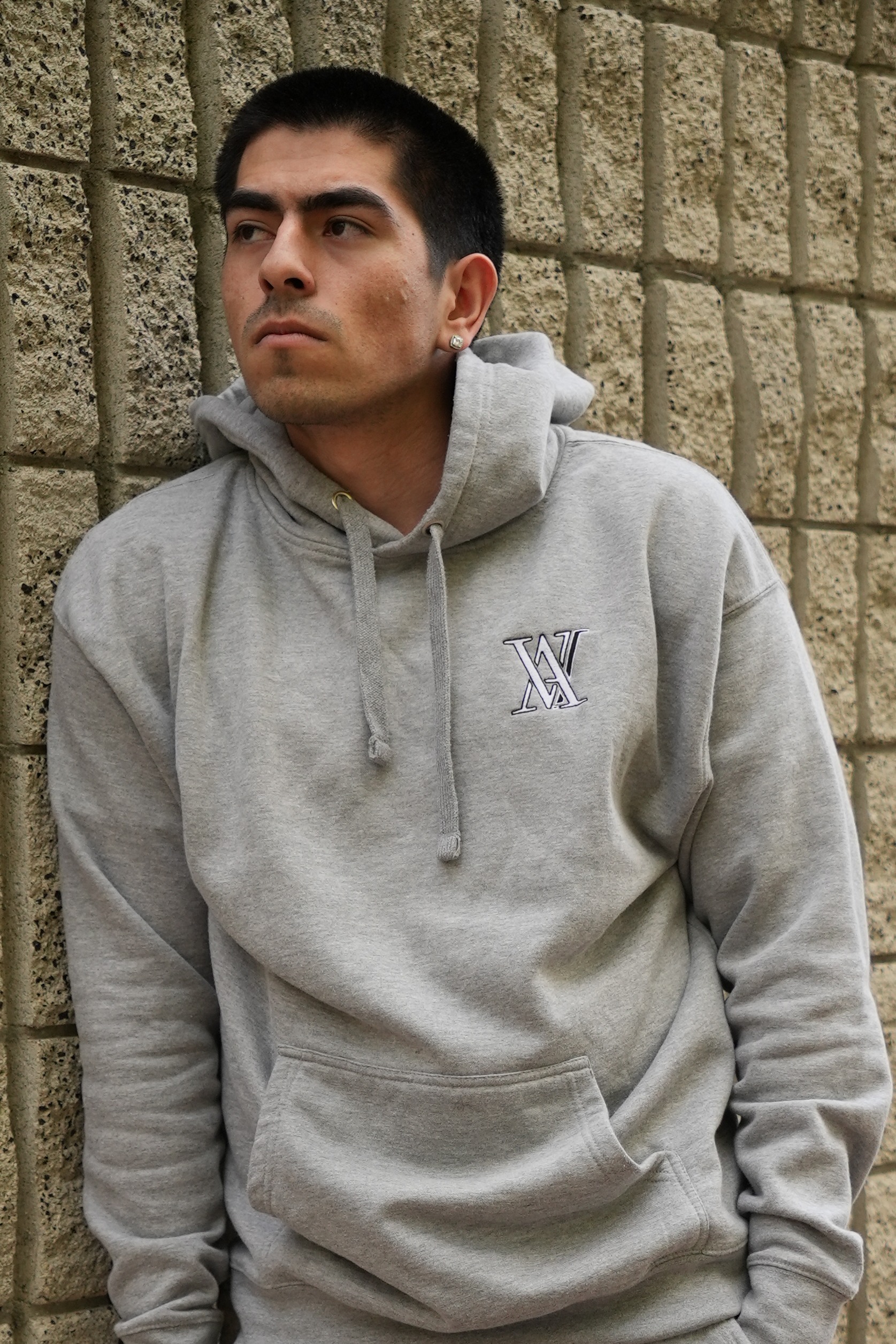 AVI Mini Logo Hoodie | Avi