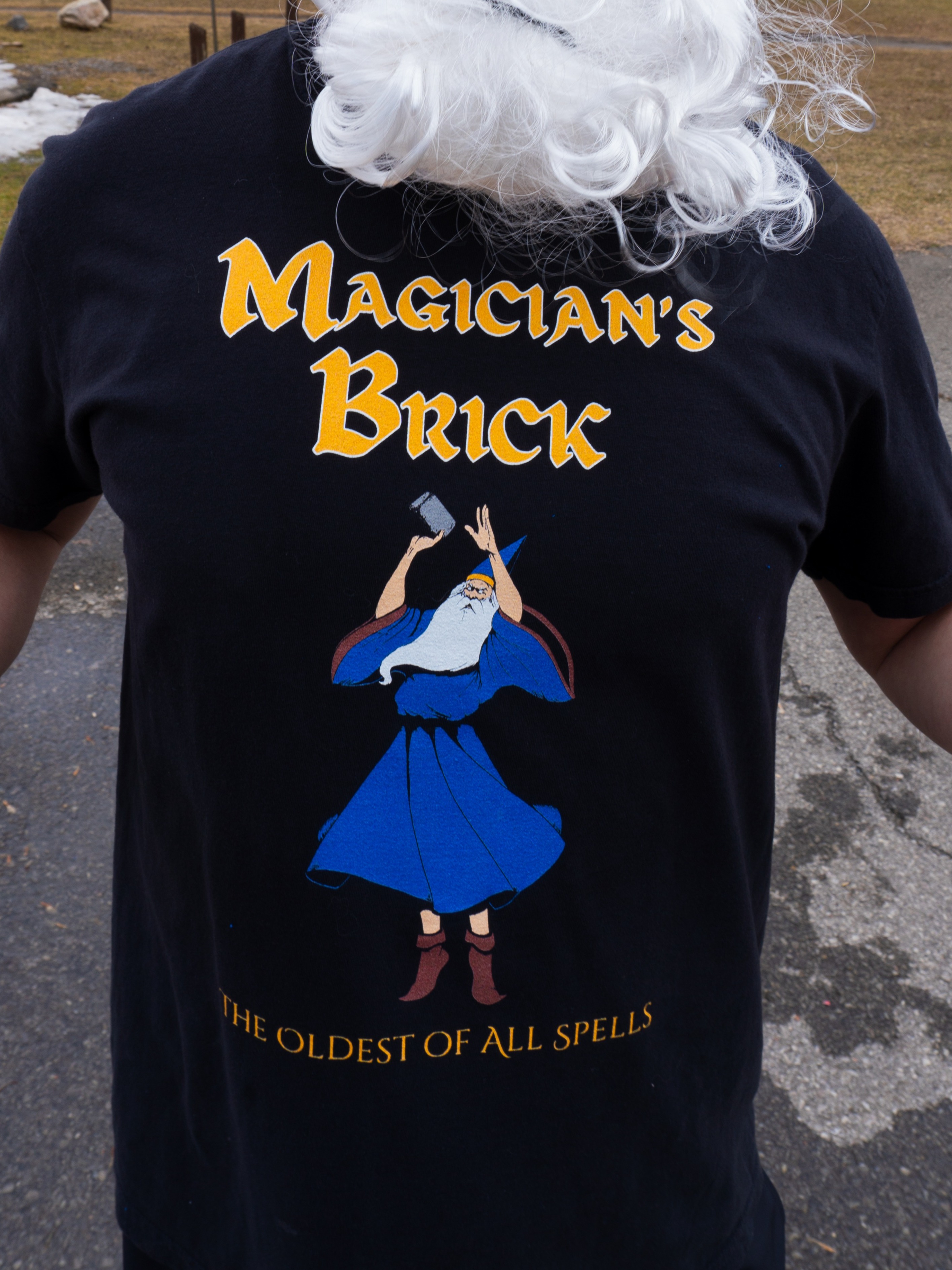 Magician's Brick T-Shirt | WiggleWood