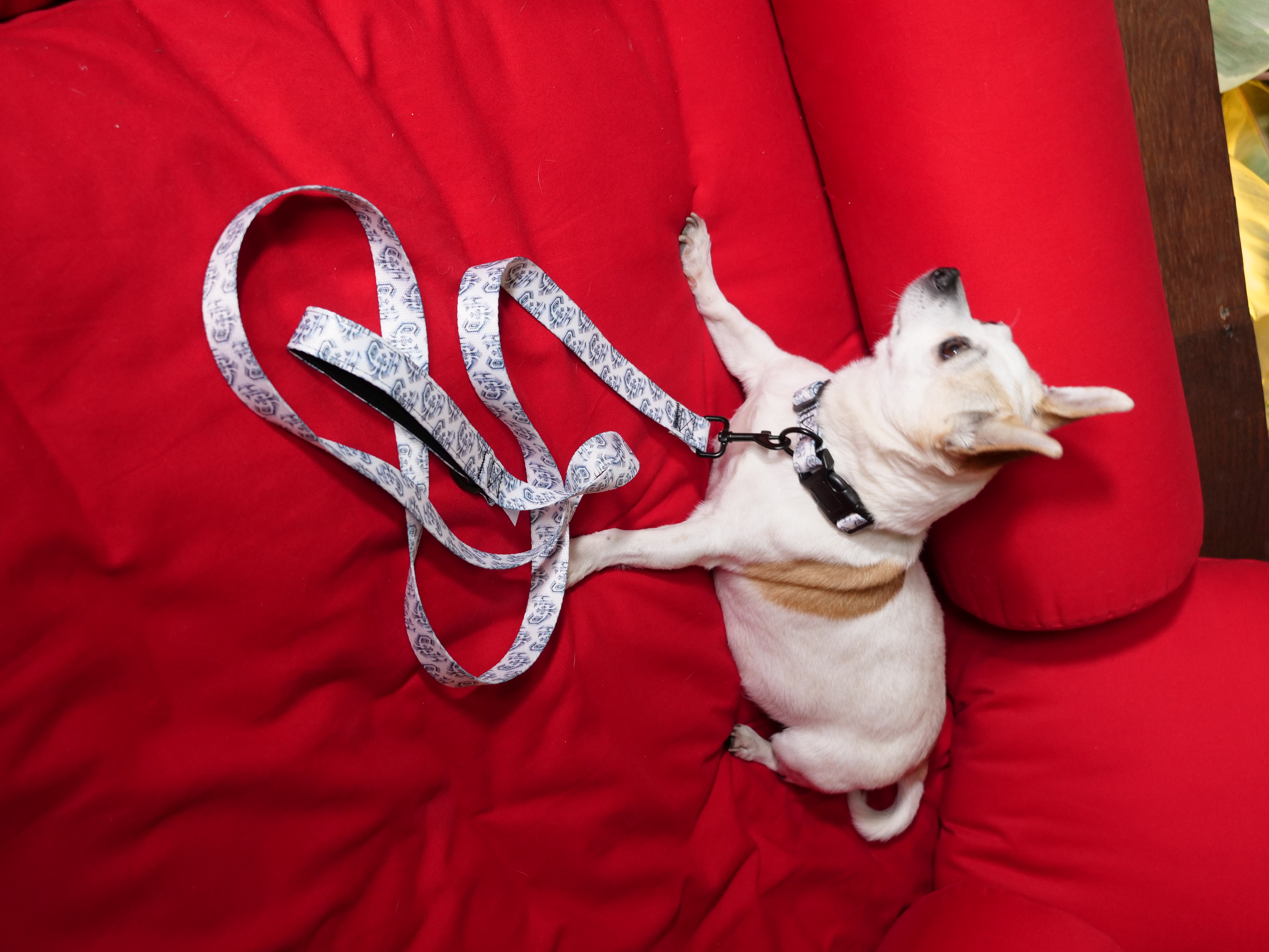 洋楽 4 DOG Life, Loyalty & Loot 4 DOG Life, Loyalty & Loot