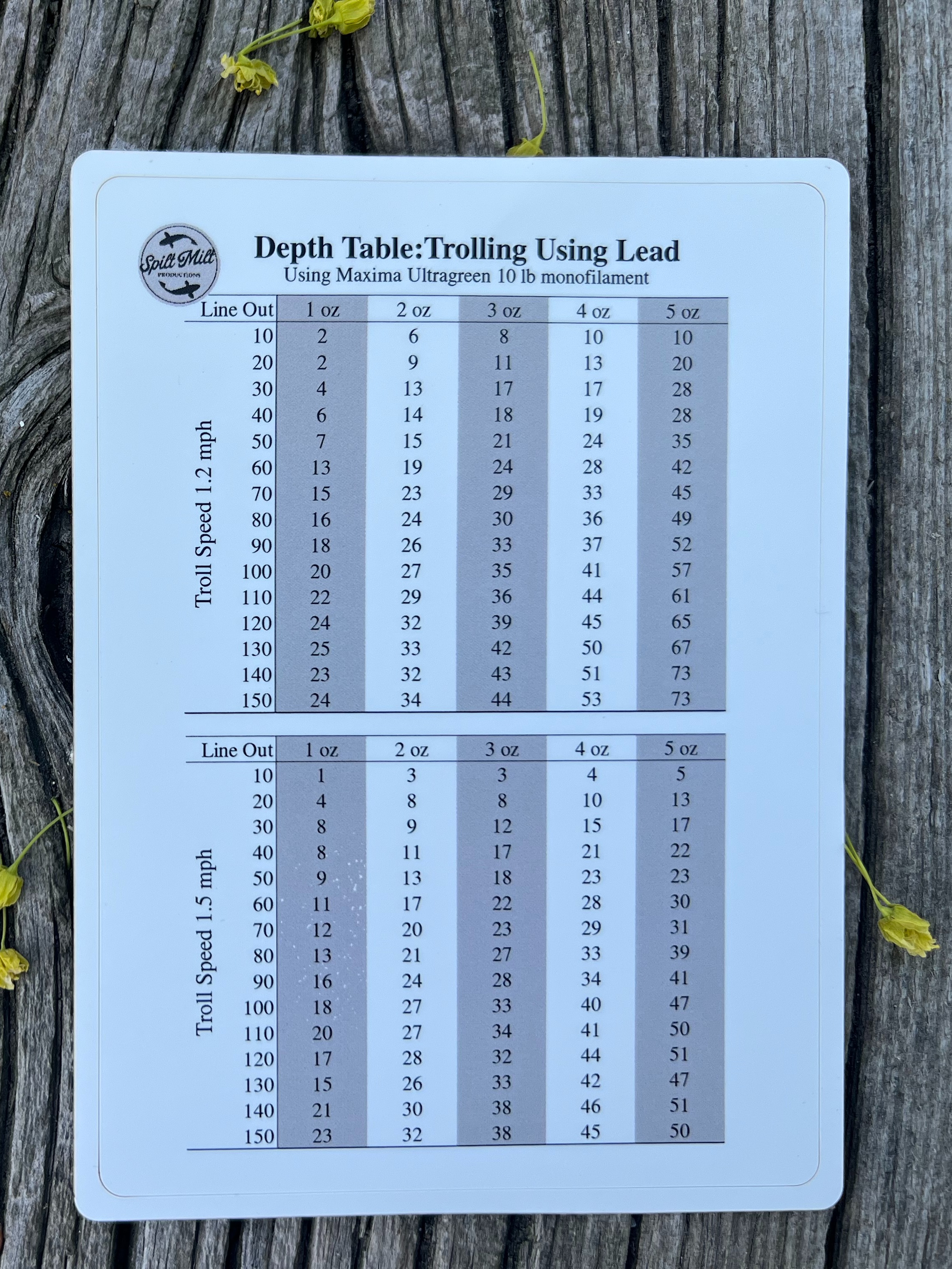 クルエルティーフリー　Chart Gallery Standard 5 クルエルティーフリー Chart Gallery Standard 5 クルエルティーフリー