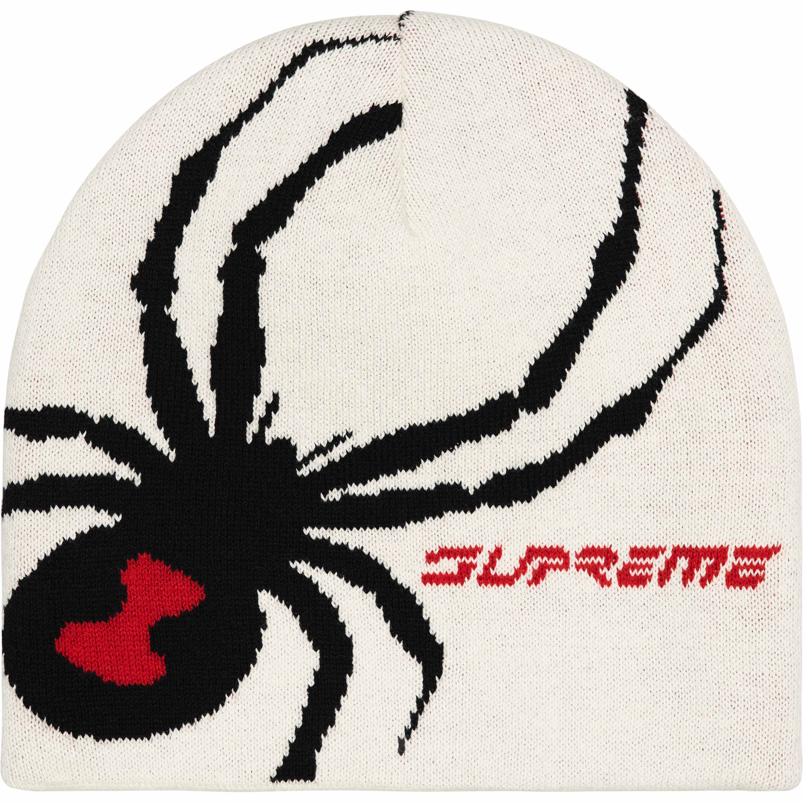 Supreme Spyder Beanie | Amor
