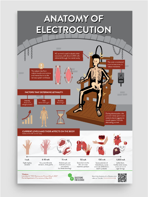 Anatomy Of Electrocution 12 X 18 Poster Questions4science anatomy-of-electrocution-12-x-18-poster-questions4science