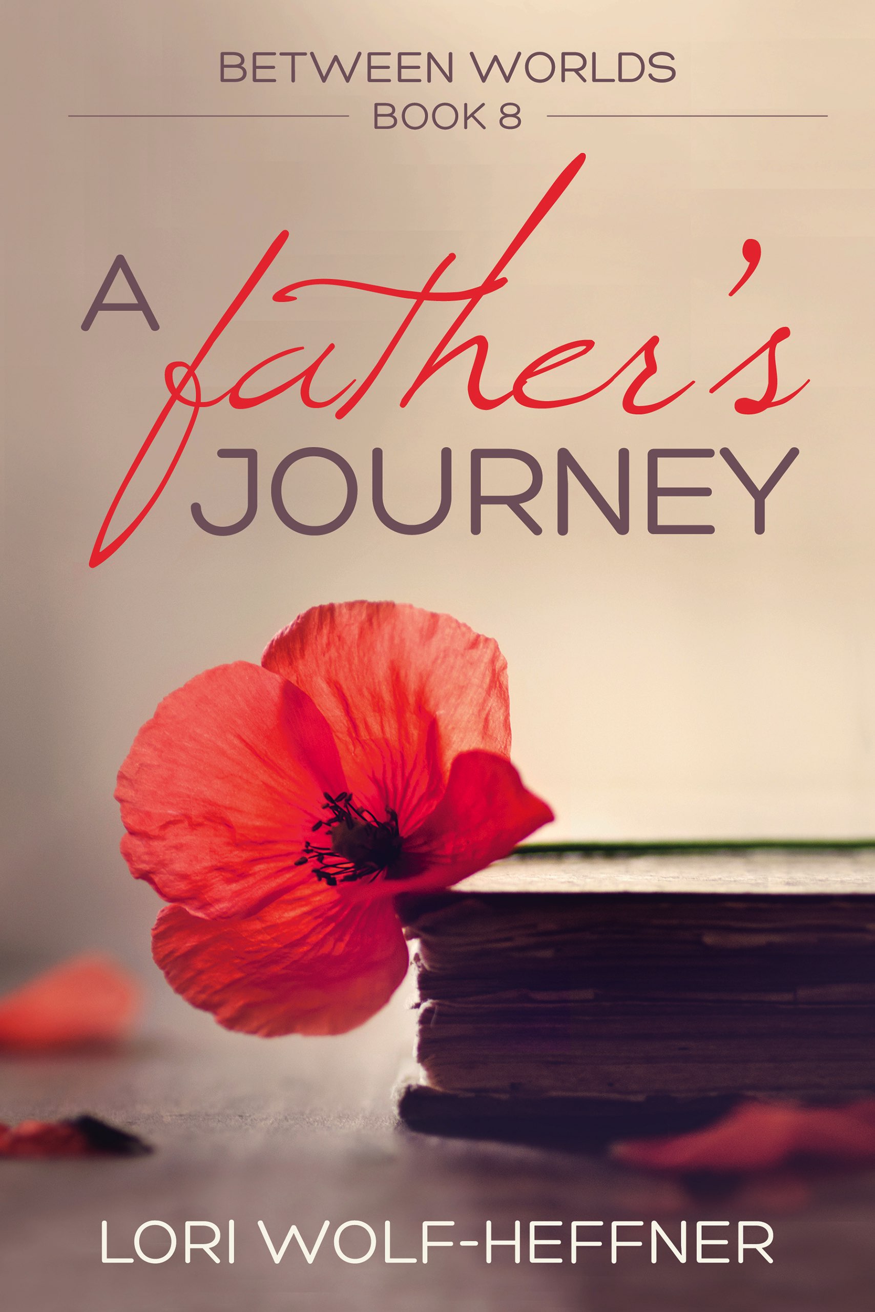 Between Worlds 8: A Father's Journey | Lori Wolf-Heffner