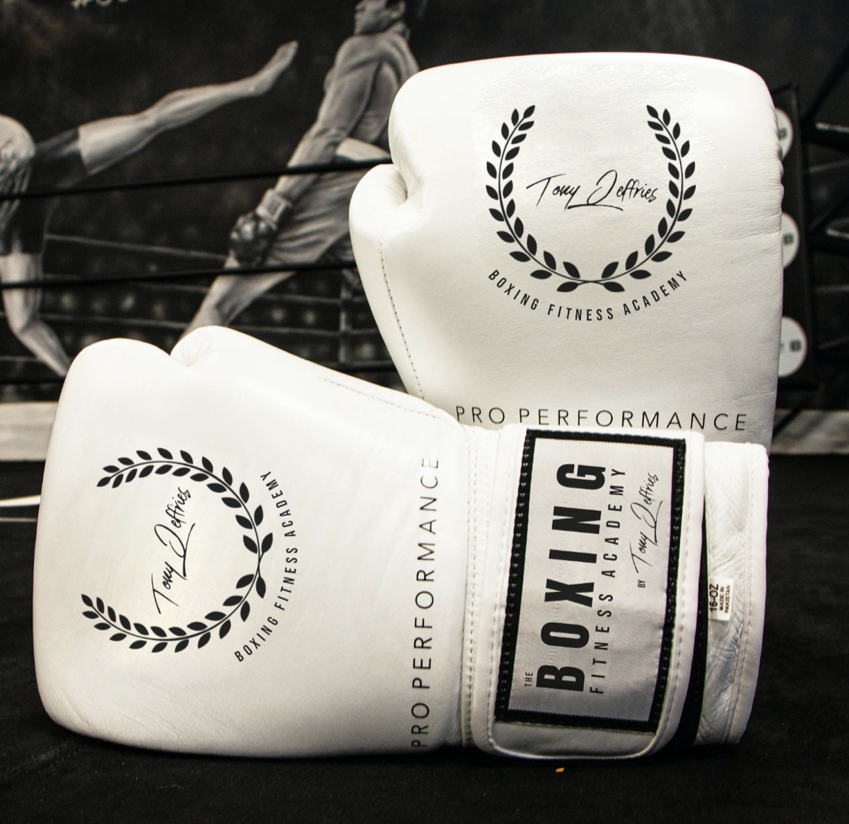 16 oz sale boxing gloves academy