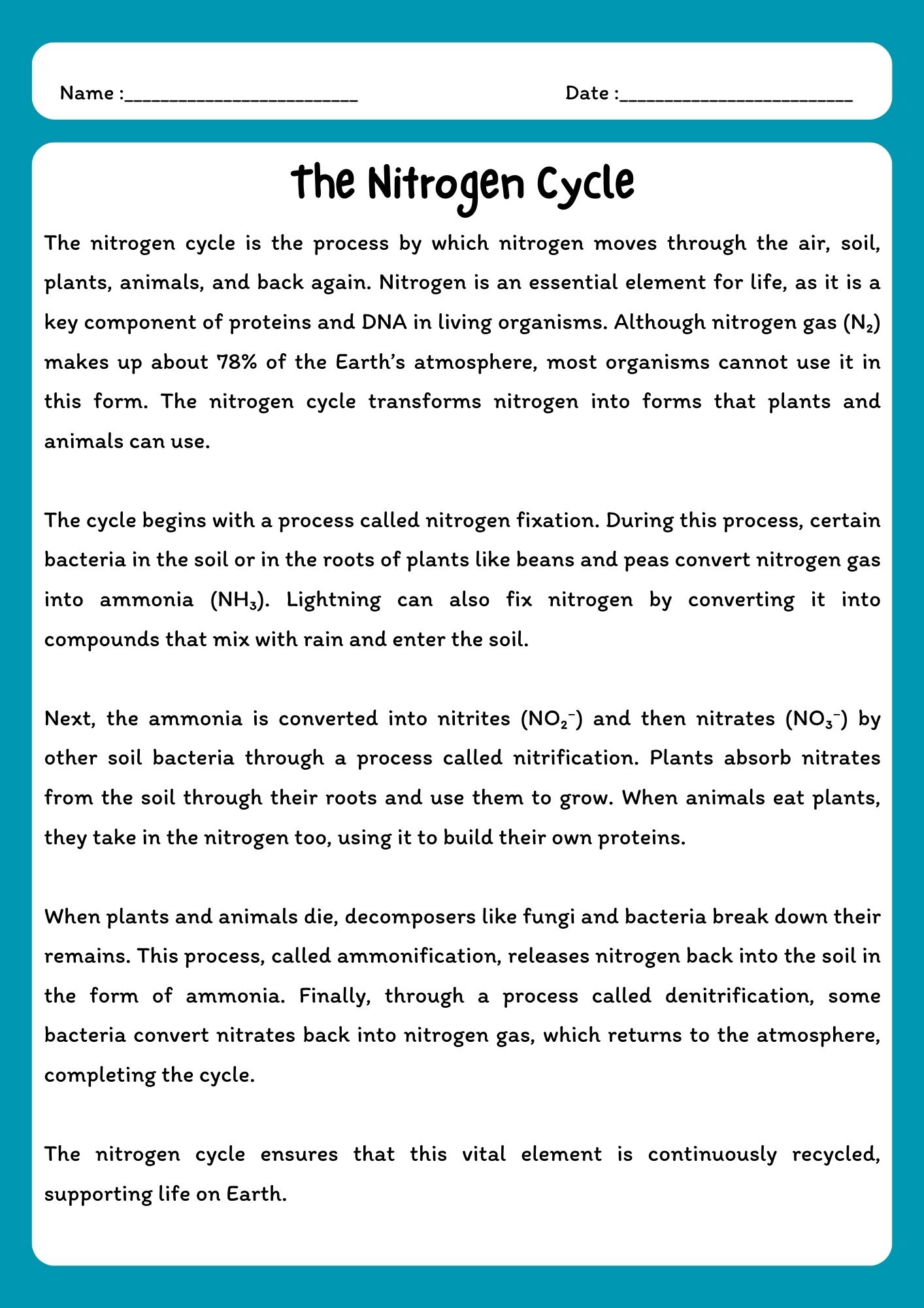 Nitrogen Cycle Reading Comprehension Passage Questions Learn Prints