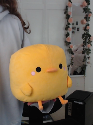 Laurdiy duck clearance plush