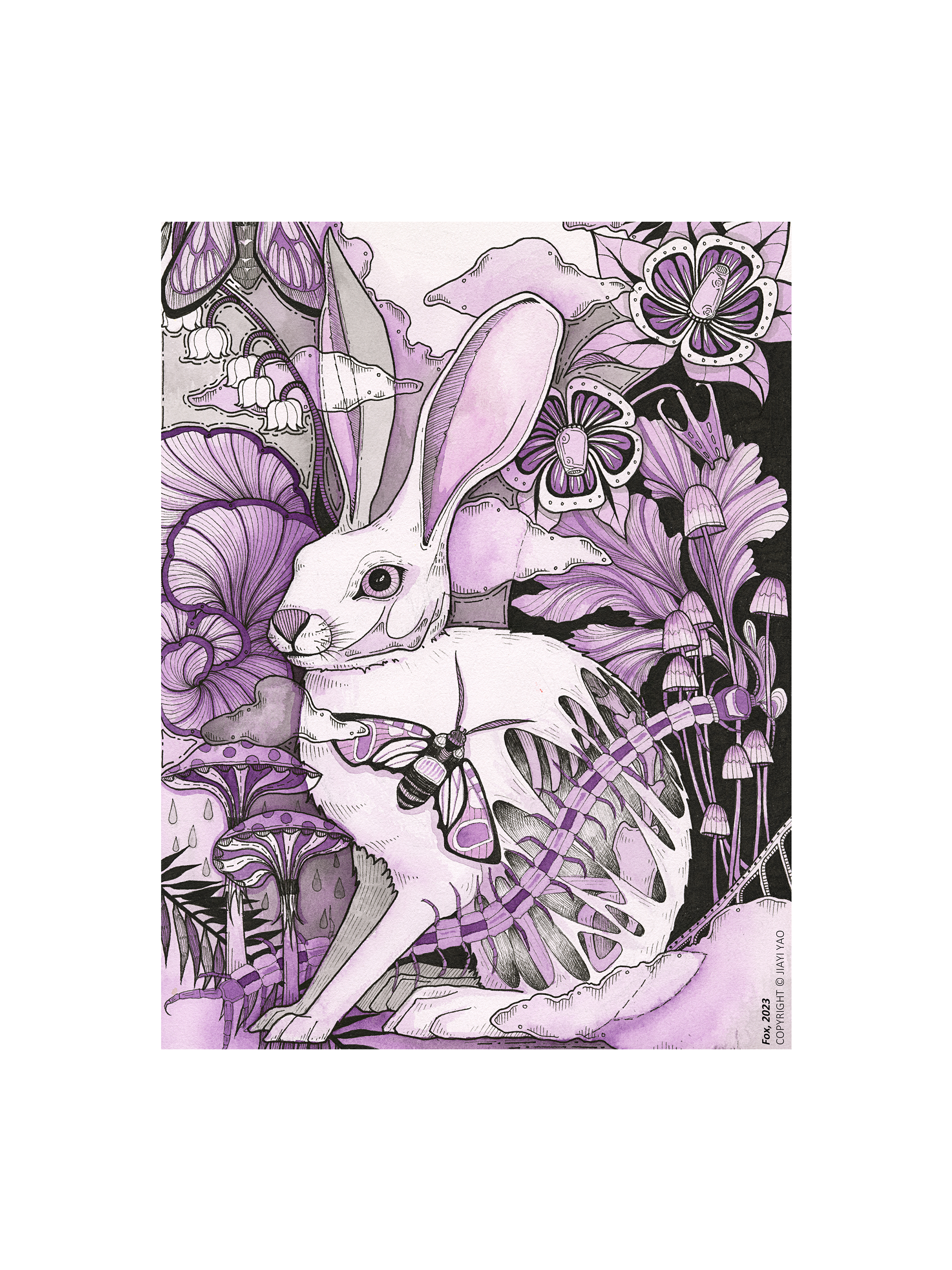 Wild Rabbit - Original Art Print | Crab Apple Studio