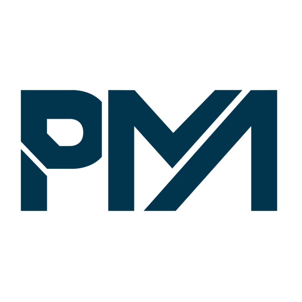 P M CONSULTING – Accounting, Auditing, Taxation & Consulting