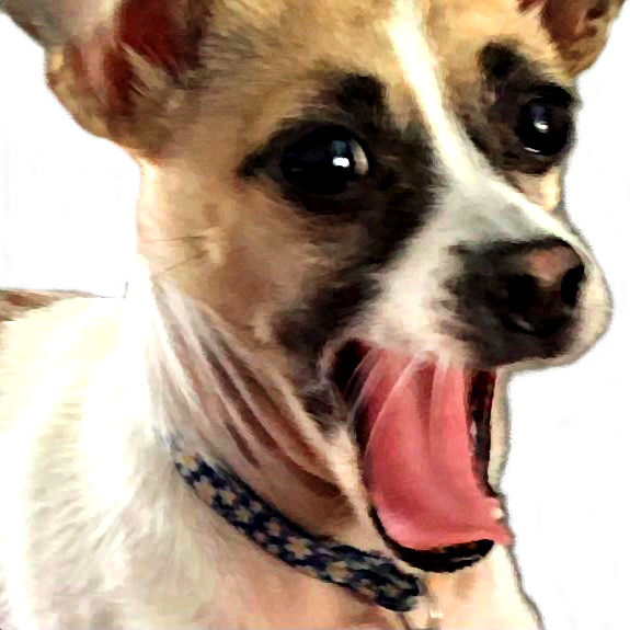 https://cdn.fourthwall.com/sr-creators/resources/79cddad6-89a7-4433-b711-8332f0917ebe/9ef2d37098d47ed023bdf44dc9686105_41b78c521067.png